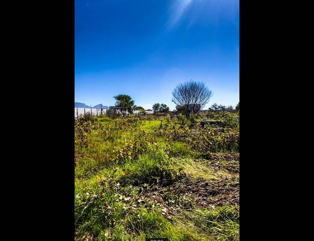 LAND FOR SALE IN SCHAAP KRAAL